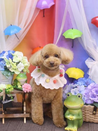 20230609めるちゃん